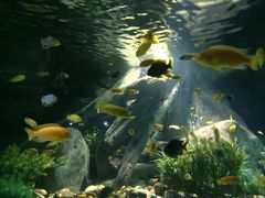 -福州罗源湾海洋世界旅游区