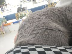 -平行世界·猫咖(首经贸店)