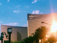 -拉斯维加斯永利酒店