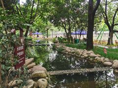 -成都市活水公园