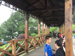 -广州市帽峰山景区