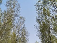 -东郊湿地公园
