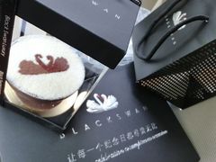 iphone_upload_pic-BLACKSWAN黑天鹅(环球店)