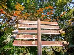 -深圳野生动物园