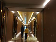 -桃花源中餐厅(金茂豪华精选酒店)