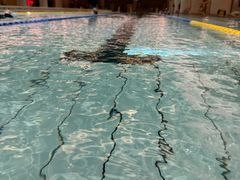 -中家鑫园温泉酒店鑫悦汤泉