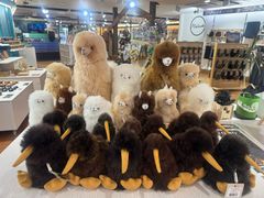 -怀托摩萤火虫洞