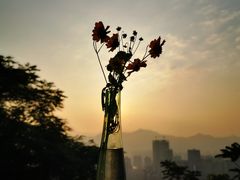 -重庆平顶山公园