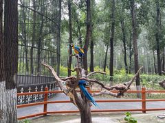 -北京野生动物园