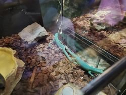 -Zoolung Zoolung动物主题公园(海信广场店)