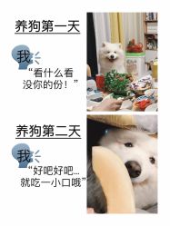 -Oasis Beauty水磨坊科技美肤中心