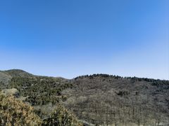 -北京西山国家森林公园