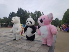 -南戴河国际娱乐中心