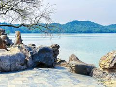 -东湖落雁景区
