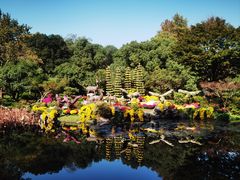-杭州植物园