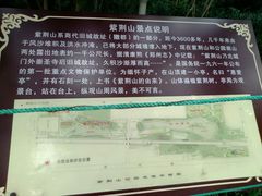 -紫荆山公园