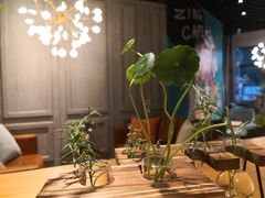 -ZING COFFEE 镜咖啡