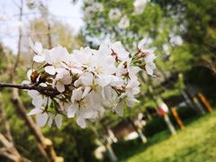 -西安青龙寺遗址景区