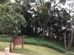 -狐尾山公园