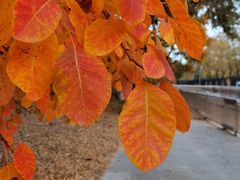 -永定河休闲森林公园