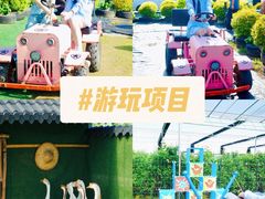 -栖露营camping·天幕烧烤·团建拓展·采摘营地