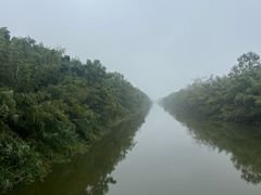 -黄海国家森林公园