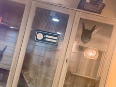 -白兔子密室(长寿路店)