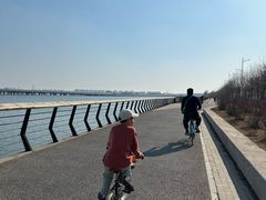 -丁香湖公园