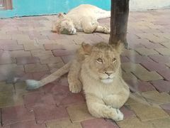 -大连森林动物园