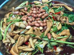 -石岐乳鸽村(南海第三分店)
