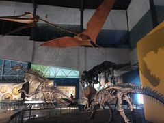 -湖南省地质博物馆