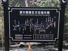 -望天鹅景区