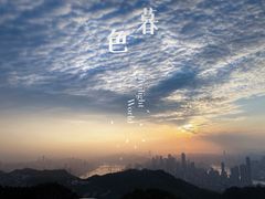 -大金鹰园