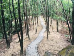 -火炉山森林公园