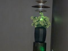 -墨锦轩·5D影院足浴·SPA(高新店)