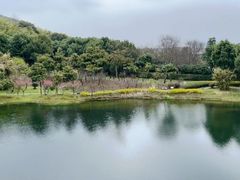 -苏州环秀晓筑养生度假村