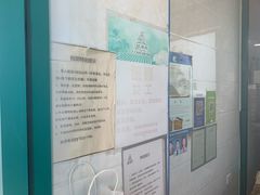 -苏顺成纯绿豆饼(中华南大街店)