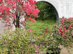 -苏州上方山国家森林公园