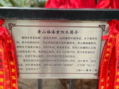 -寿山福海养老服务中心(石景山院)