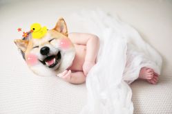 -小熊维尼高端儿童摄影(南山信和店)