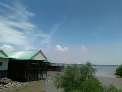 android_upload_pic-海鸥岛