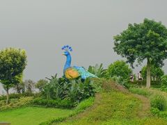 -东莞植物园