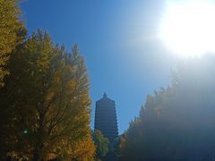 -玲珑塔公园