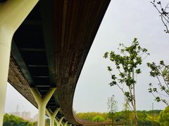 -昆山城市生态森林公园