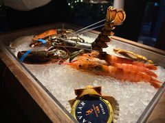 -壳里西餐厅Coquille Seafood Bistro(蒙自路店)