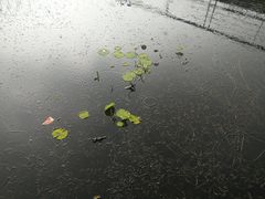 -同里国家湿地公园