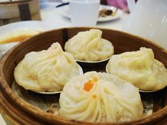 -欢乐海岸美食联盟