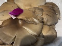 -葛记红焖羊肉(人民路店)