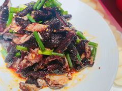 -享月汤皇(高新路店)