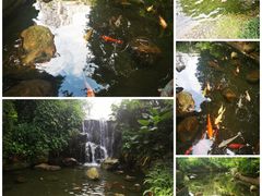 -广州花园酒店